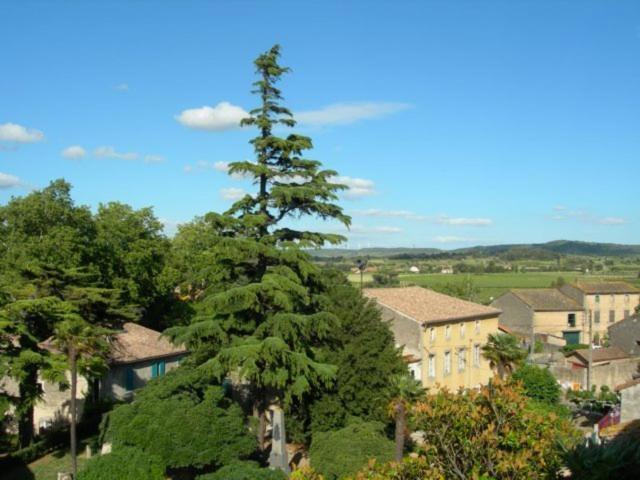 Chambres D'Hotes Le Clos De Venes Saint-Couat-d'Aude Екстер'єр фото